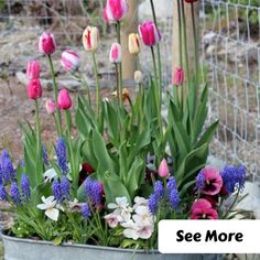 a bucket filled with lots of flowers next to a fence