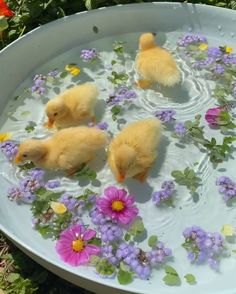 three little ducks in a tub filled with water and flowers