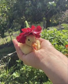 a hand holding a small toy chicken with a red flower on it's head