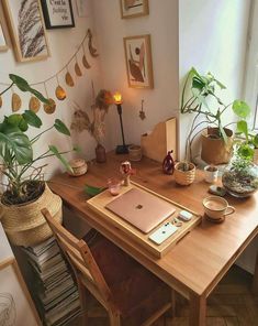 a wooden desk topped with a laptop computer next to a potted plant on top of a hard wood floor