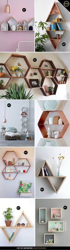 the shelves are made out of wood and have plants on them in different shapes, sizes and colors