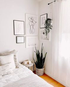 a bedroom with pictures on the wall and a plant in a basket next to it