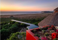 the sun is setting over an ocean with flowers and greenery in front of it