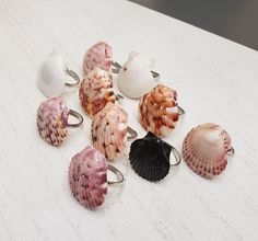 several seashells are sitting on a white surface