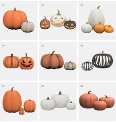 pumpkins and gourds are arranged in different shapes, sizes, and colors