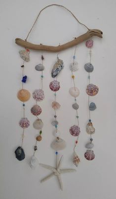 a wall hanging with seashells and starfish on it's side, next to a driftwood branch