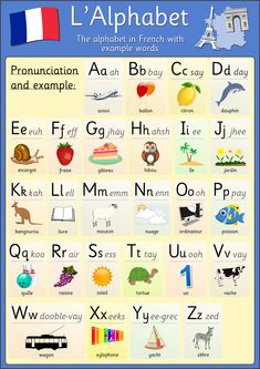 the alphabet in french with examples and examples