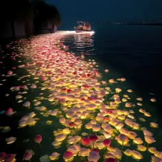 flowers floating on the water at night with a boat in the backgrouund