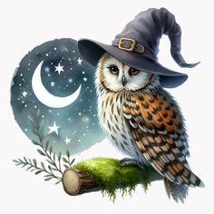 an owl wearing a witches hat sitting on top of a tree branch in front of the moon and stars