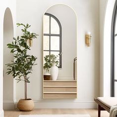 a living room filled with furniture and a large mirror on the wall next to a potted plant