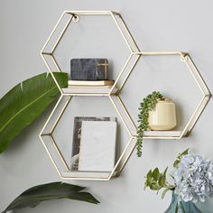 three hexagonal shelves with plants and books on them in front of a white wall