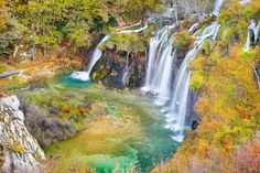 a waterfall in the middle of a forest filled with lots of green and orange leaves