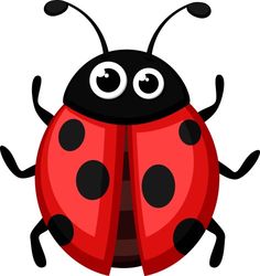 a ladybug with big eyes and black spots