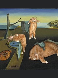 three cats laying on the ground in front of a painting