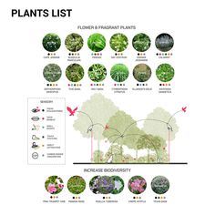 the plants list shows different types of plants