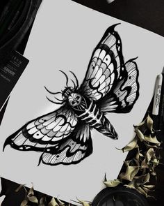 a black and white drawing of a butterfly on top of a piece of paper next to some leaves