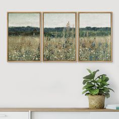 two paintings hanging on the wall above a white dresser with a potted plant in front of it