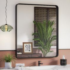 a bathroom sink with a mirror above it and a potted plant on the counter