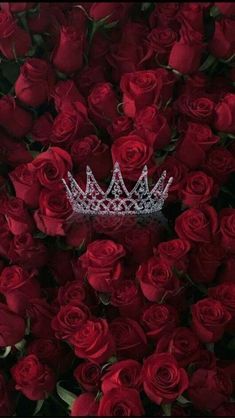 a crown is surrounded by red roses