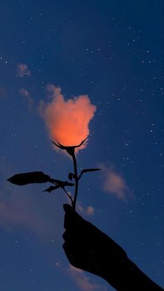 a person's hand holding a flower in the sky