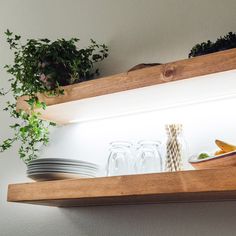 two shelves with plates, cups and plants on them