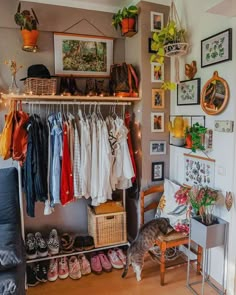 a cat is standing in front of a closet with clothes and shoes on the shelves