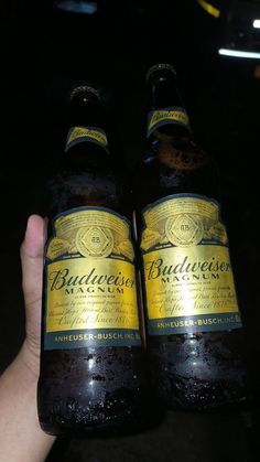 two bottles of budweiser beer being held by someone