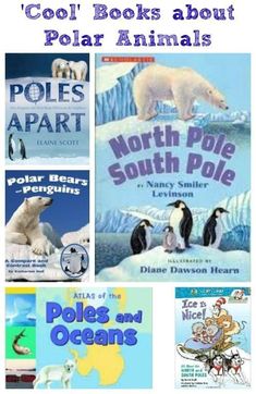 some books about polar animals and penguins