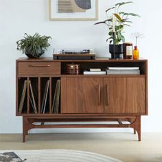 an entertainment center with plants and records on it