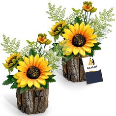 two vases with sunflowers and greenery in them on a white background