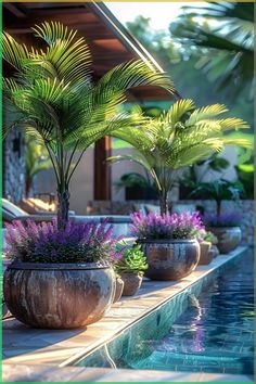 three large potted plants sitting next to a swimming pool with purple flowers in it