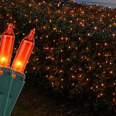 two orange lights are placed in a green plastic container on the ground next to some bushes