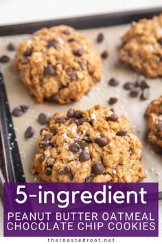 chocolate chip cookies with text overlay reading 5 - ingredient peanut butter oatmeal chocolate chip cookies