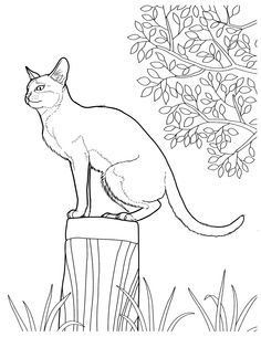 a black and white drawing of a cat sitting on top of a tree stump in the grass