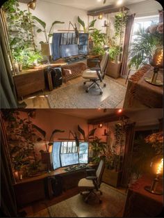 two pictures show the inside of a home office and living room with plants on the walls