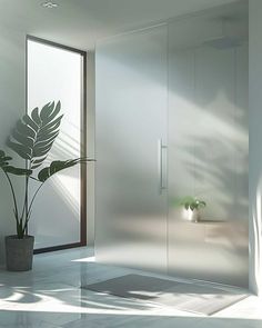 a plant in a pot sitting next to a white wall with glass doors on it