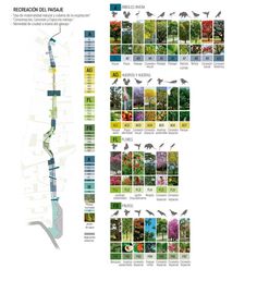 the map shows different types of trees and plants in each region, including an area with many