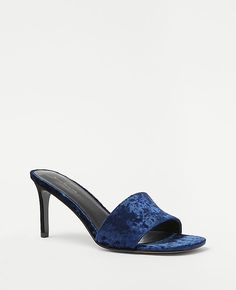 Perfectly plush, our velvet mule sandals channel head-to-toe indulgence. Open toe. Padded footbed for complete comfort. 3" heel.,Imported:Imported,Fabrication:95% Polyester, 5% Spandex Velvet Mule Sandals by Ann Taylor Size regular - 10 Atlas Blue Women's Medium, Sandals, Footwear, 95%, Polyester, 5%, Spandex Formal Blue Mules With Padded Heel, Velvet Mules, Knitted Suit, Mule, Comfort Design, Velvet Material, Comfortable Heels, Mule Sandals, Toe Designs