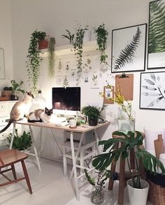 two cats sitting on top of a desk next to potted plants