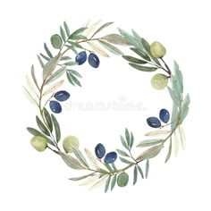 an olive wreath with leaves and berries painted in watercolor royalty illustration