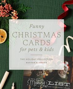 Funny Pet Christmas Cards | 2024 Holiday Collection - Banter and Charm