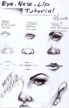 a drawing of different types of eyes