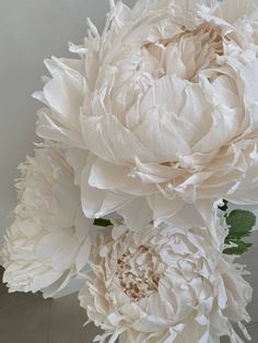 two white flowers are in a vase on the table, one is large and the other is small