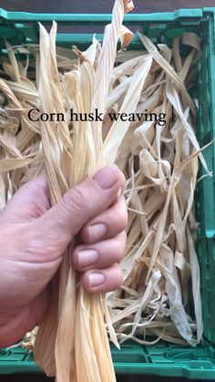 a hand holding corn husks in a green box with the words corn husk weaving on it