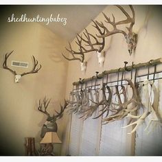 antlers are hanging on the wall in front of a window with curtains and lamps