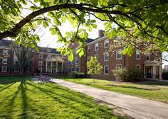 an image of a college campus with trees in the foreground and bicycles parked on the sidewalk