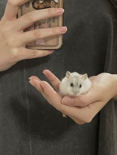 a person holding a small rodent in their hand while taking a selfie with a cell phone