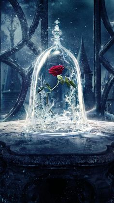 a red rose in a glass dome with water on the bottom and snow around it