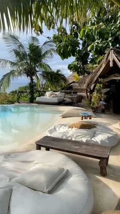 a cat laying on top of a white couch next to a swimming pool and palm trees