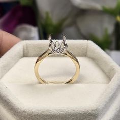 a close up of a ring in a box